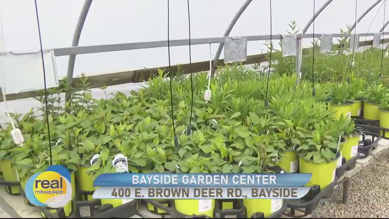 Getting ready for planting season at Bayside Garden Center