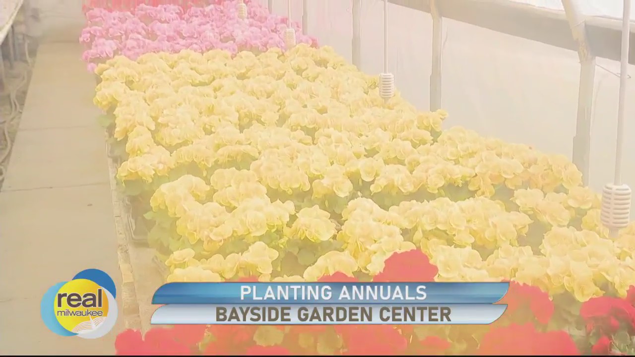 Bayside Garden Center; Tips for planning your garden