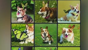 Scammers using artificial intelligence to clone voices