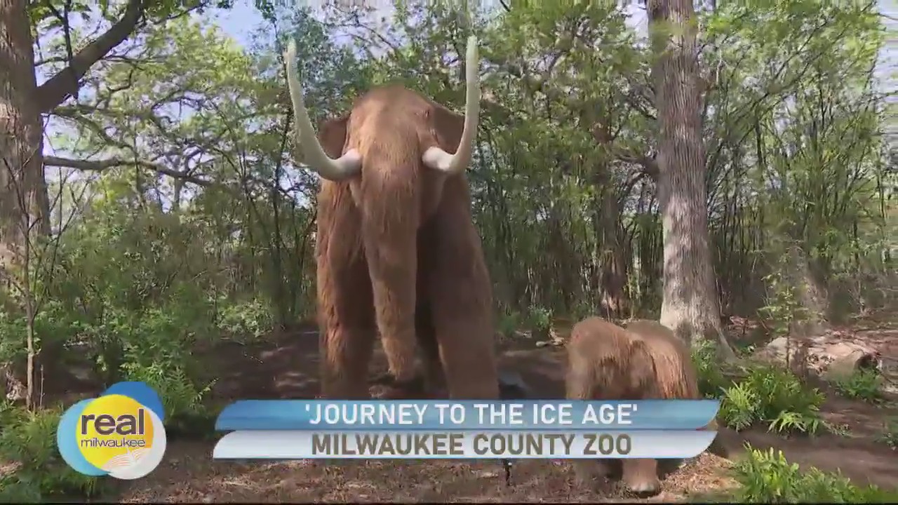 Take a 'Journey to the Ice Age' at the Milwaukee County Zoo