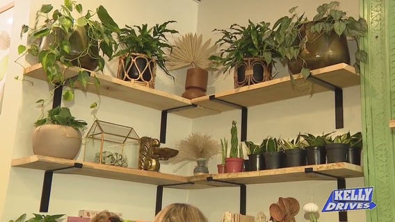 A Green Thumb at The Green House