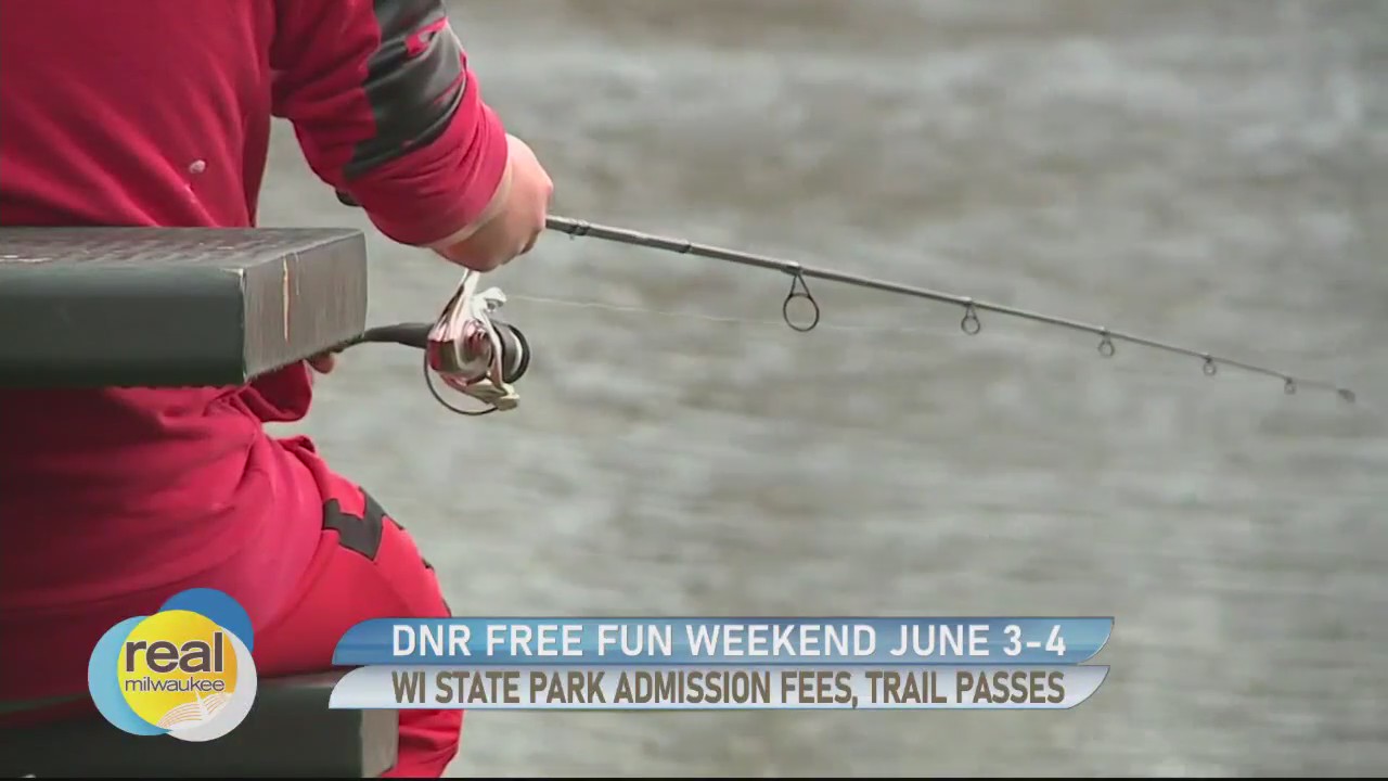 Food trucks, bears and free fun in Wisconsin are in The Bubbler for Wednesday, May 31