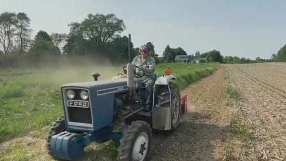 Wisconsin drought, Jackson raspberry farmer struggles: 'I need water'