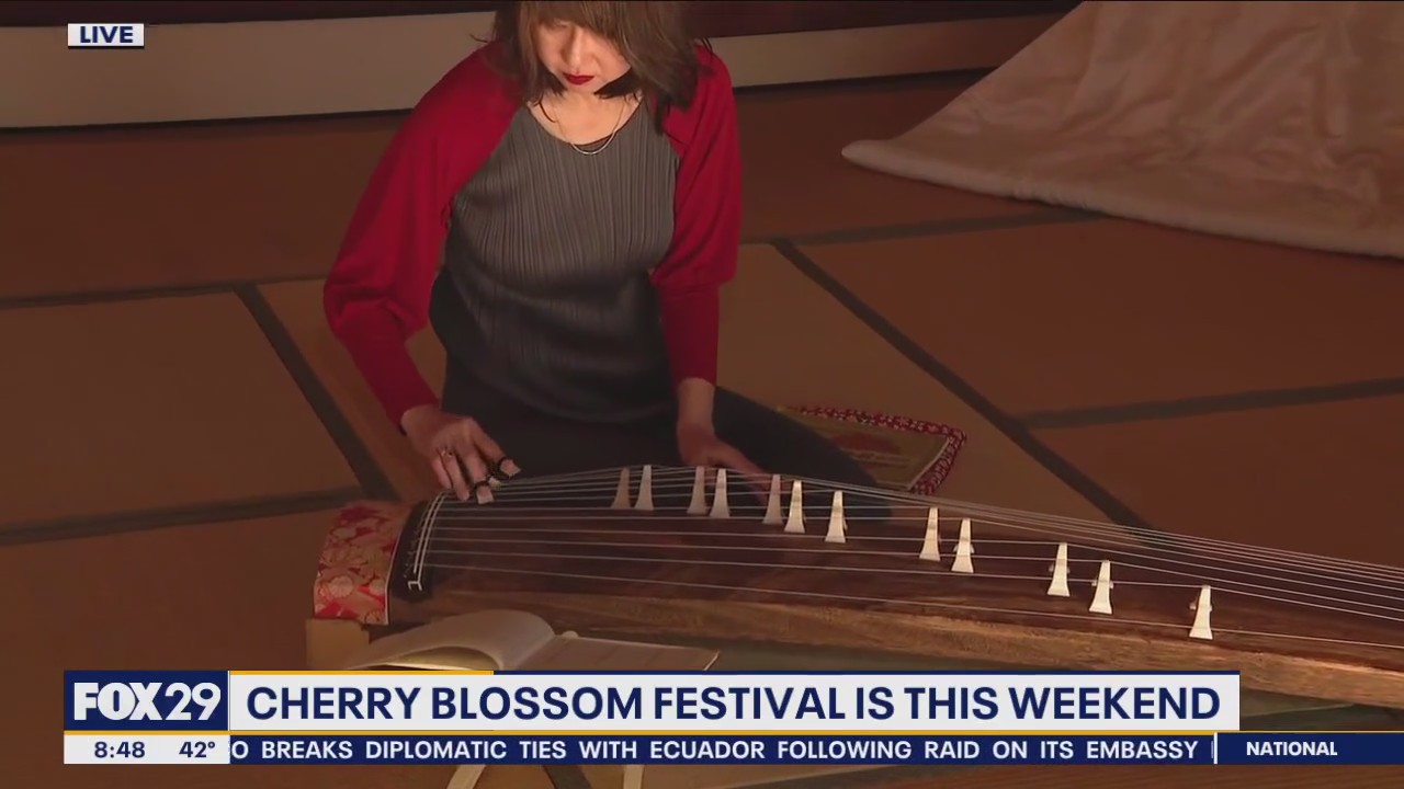 Japanese cultural center hosting free Cherry Blossom festival