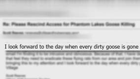 Goose droppings on Mukwonago beach; solution has some up in arms