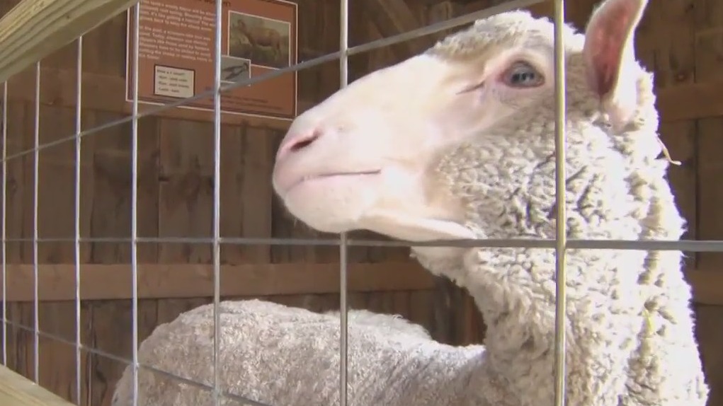 Old World Wisconsin: Father's Day free for dads