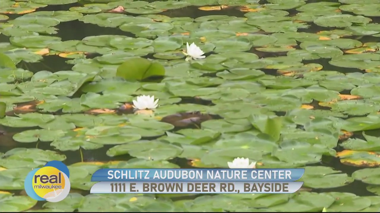 185 acres of forests, wetlands and Lake Michigan shoreline at Schlitz Audubon Nature Center