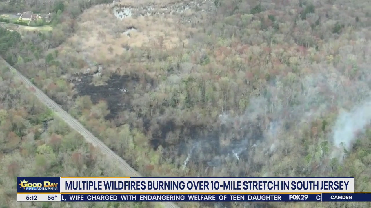 Multiple wildfires burning in South Jersey