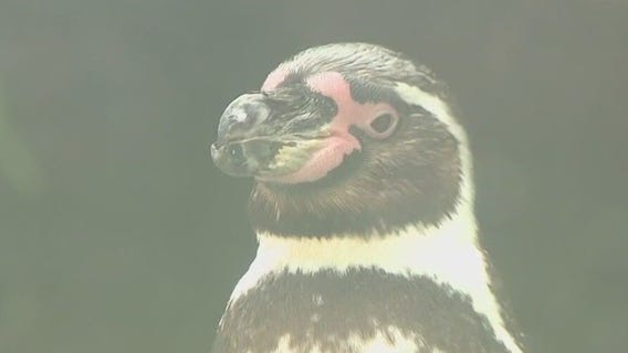 Milwaukee air quality impacts zoo animals