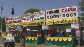 Milwaukee Lakefront Fireworks: FL vendors