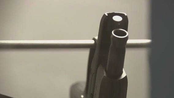 Wauwatosa police seize 69 guns in 2023