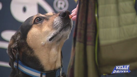 SPONSORED: Simple Ingredients at Saint Rocco?s Treats