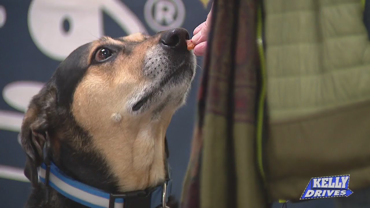 SPONSORED: Simple Ingredients at Saint Rocco?s Treats