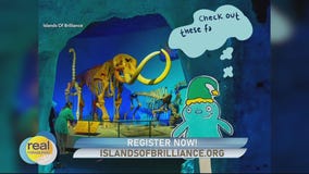 Sandbox Summer Camp; Islands of Brilliance