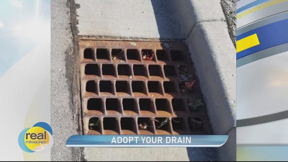 Adopt Your Drain