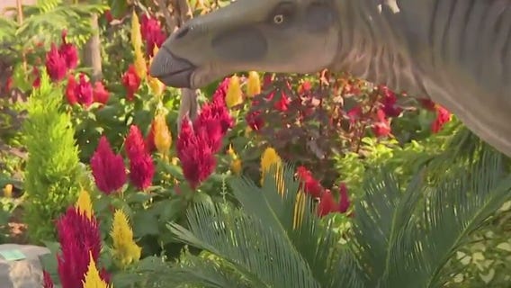 Mitchell Park Domes floral exhibit