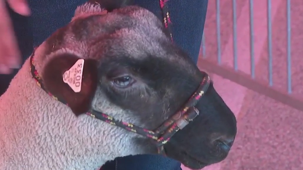 Waukesha County Fair celebrates rural heritage