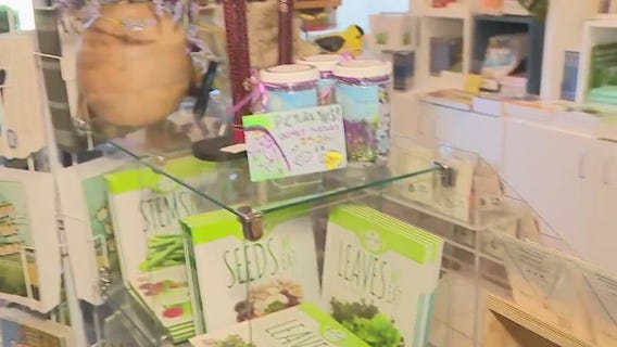 Some 'Gifts Under Glass'