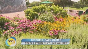 The Mitchell Park Domes is one of America?s most unique horticultural conservatories