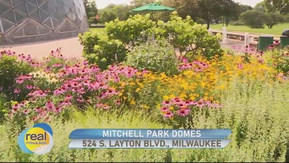 The Mitchell Park Domes is one of America?s most unique horticultural conservatories