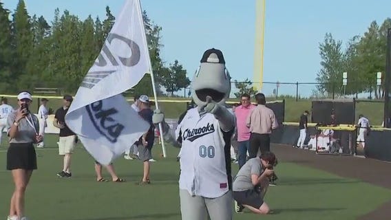 Lakeshore Chinooks, college athletes