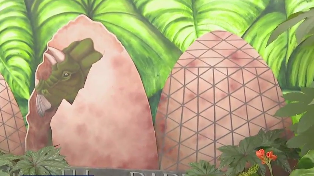 Pre-historic backdrop at Mitchell Park Domes