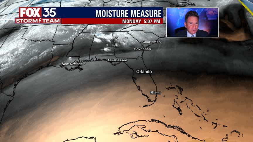 We Love Florida Forecast: February 22, 2022