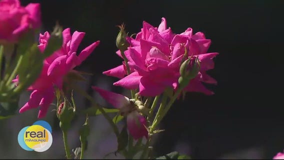 The Bubbler July 31, 2023