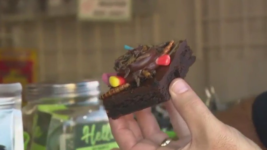 All things Jerky and Exotic Meat Grill