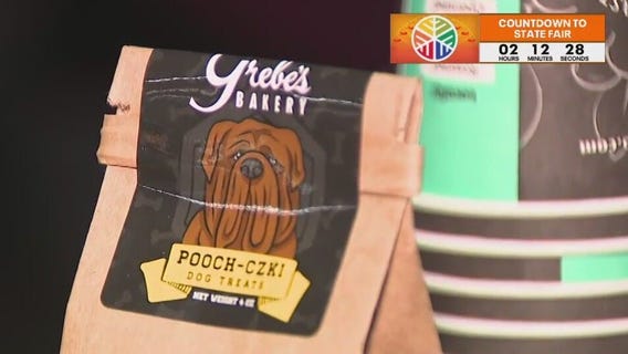 Grebes; 50-year presence at the Fair