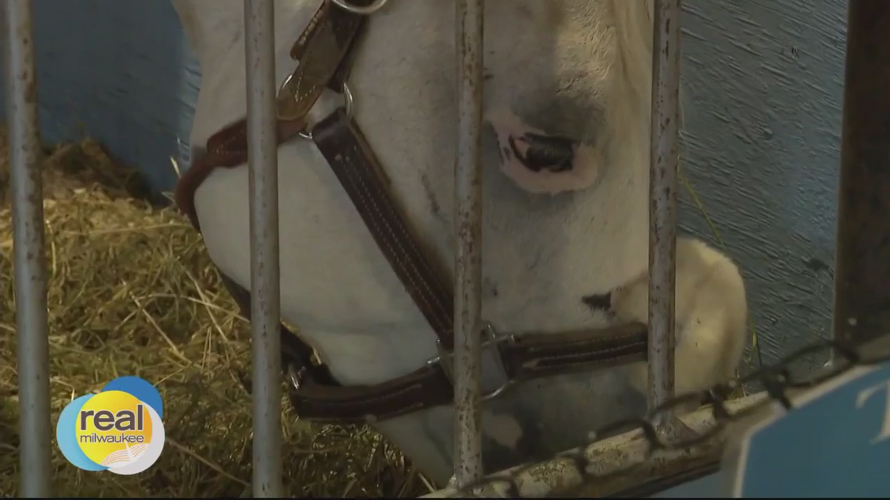 The Bubbler August 4, 2023