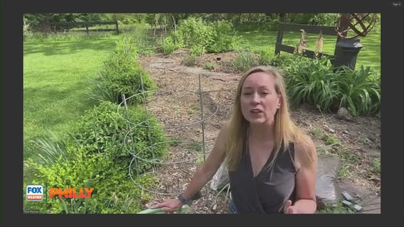 Tips and tricks to get your plants blooming | FOX Weather Philly