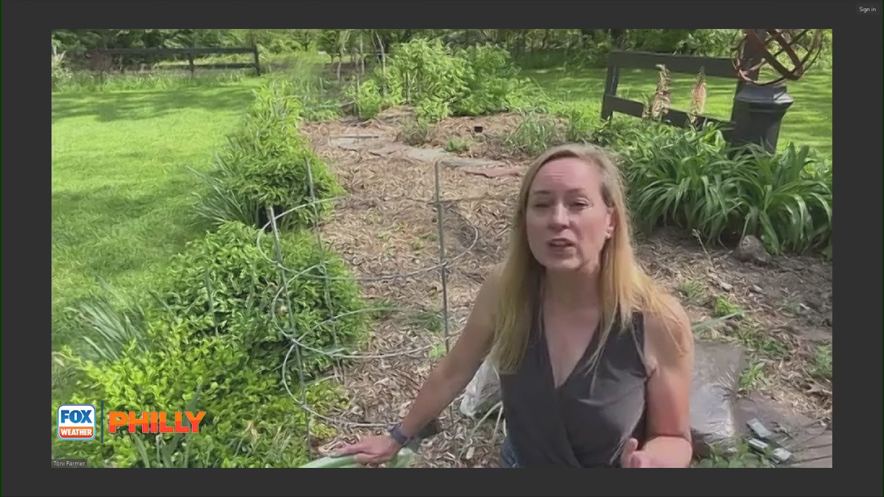 Tips and tricks to get your plants blooming | FOX Weather Philly