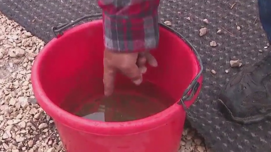 Rain makes West Bend farmers happy