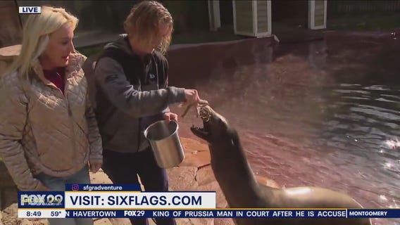 Jenn meets wildlife at Six Flags Wild Safari