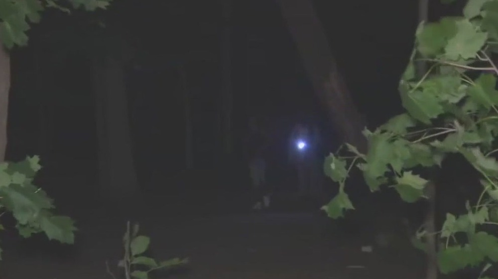 Missing woman in South Milwaukee