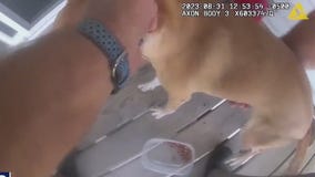 Fond du Lac deputy puts out fire, rescues dog