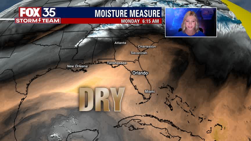 We Love Florida Forecast: March 7, 2022