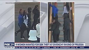 4 females sought after Givenchy employee, security guard pepper sprayed during robbery
