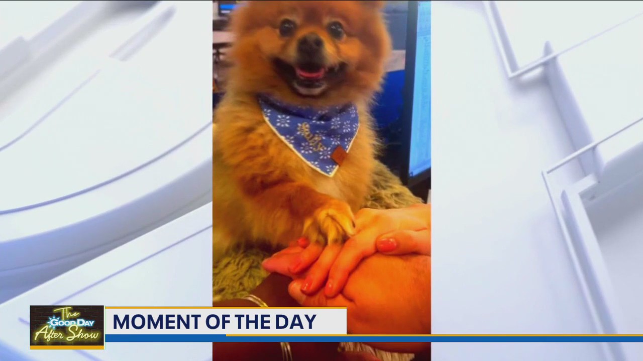 Moment of the Day: The Hands in Challenge