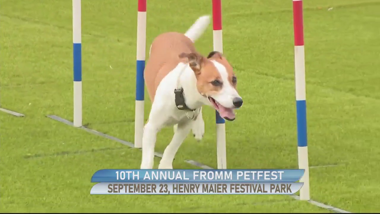 10th Annual Fromm Petfest