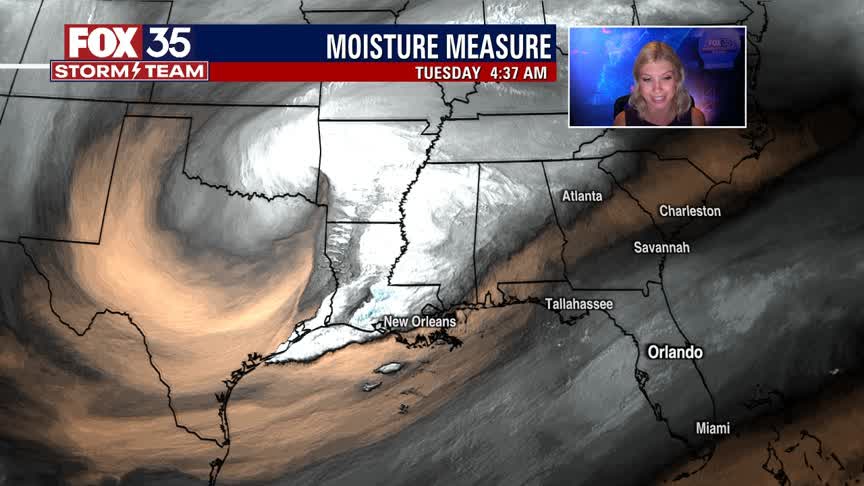 We Love Florida Forecast: March 15, 2022