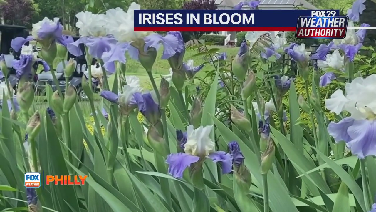 Tuesday's with Toni: Professor Farmer provides timely gardening tips