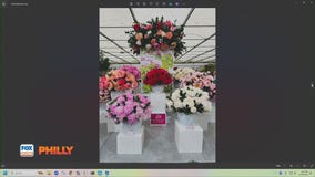 Tuesday's with Toni: Professor Farmer provides timely gardening tips