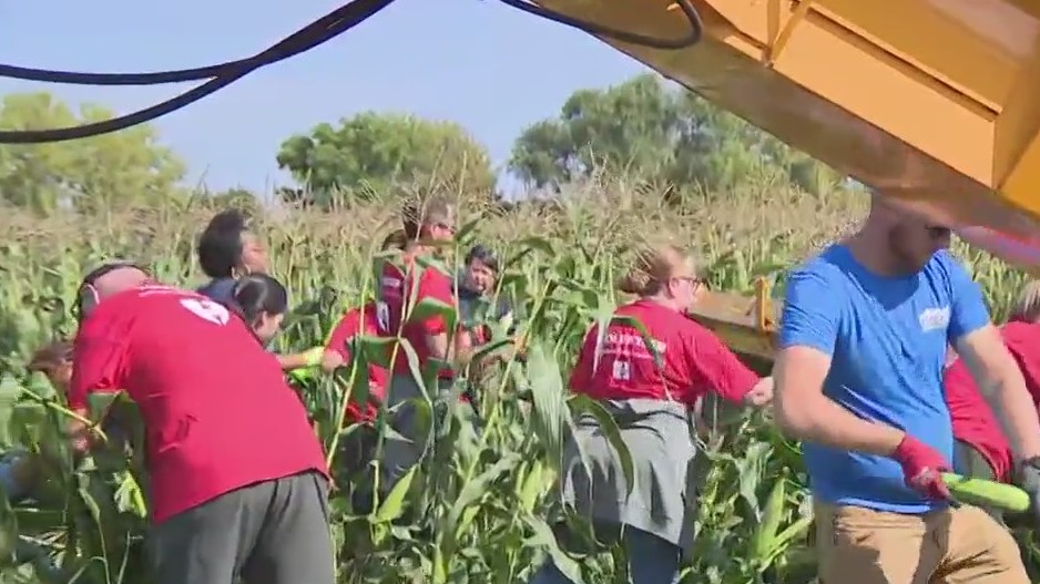 The Hunger Task Force Farm is a unique 208-acre farm