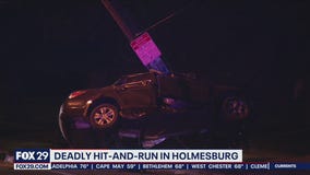 Teen dead, 5 people injured in multi-vehicle hit-and-run crash