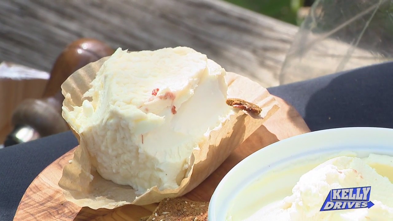 Getting Cheesy at Perrystead Dairy