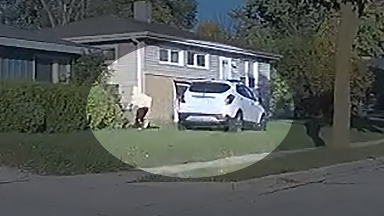 Wauwatosa police chase ends on lawn