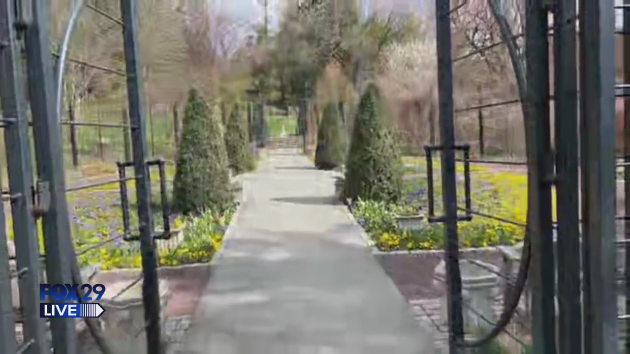 FOX 29 Live: Morris Arboretum