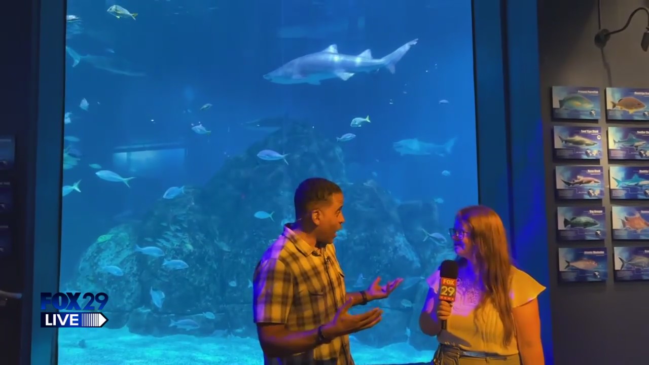 FOX 29 LIVE: Bill at the Adventure Aquarium